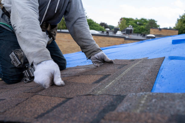 Best Metal Roofing Contractor  in Palos Heights, IL